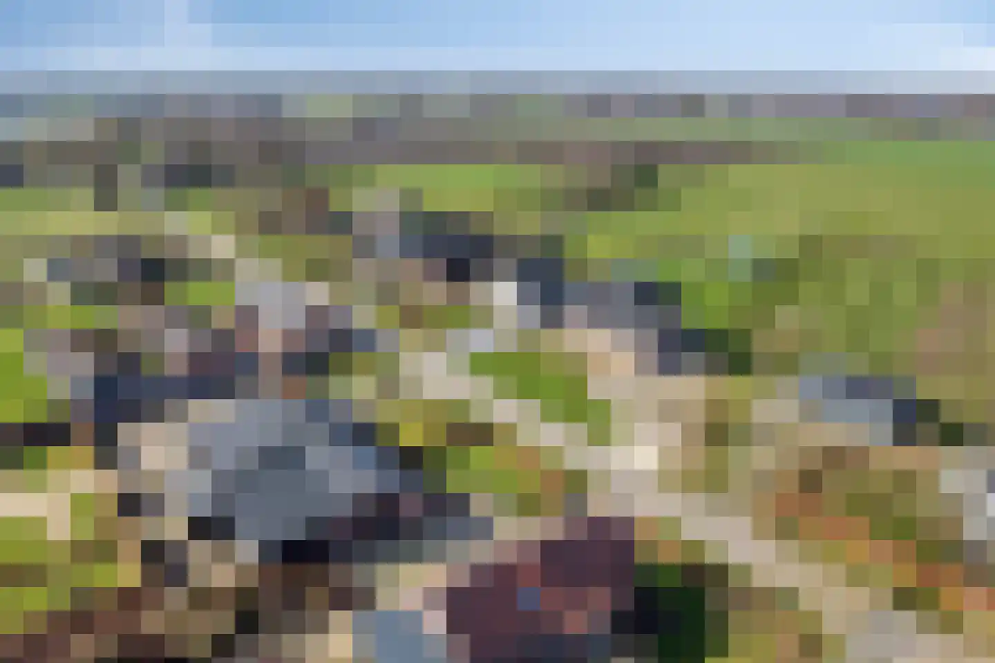 Kreijel 2 Ospel thumbnail 79