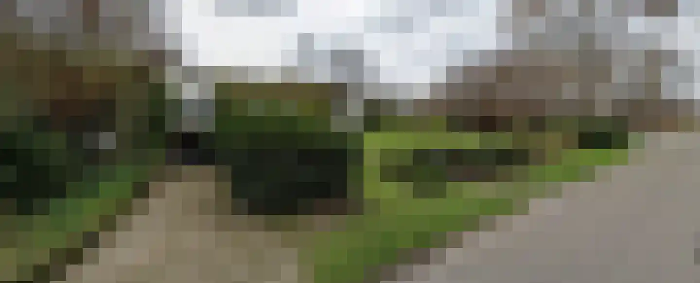 Kreijelmusweg 7 Nederweert