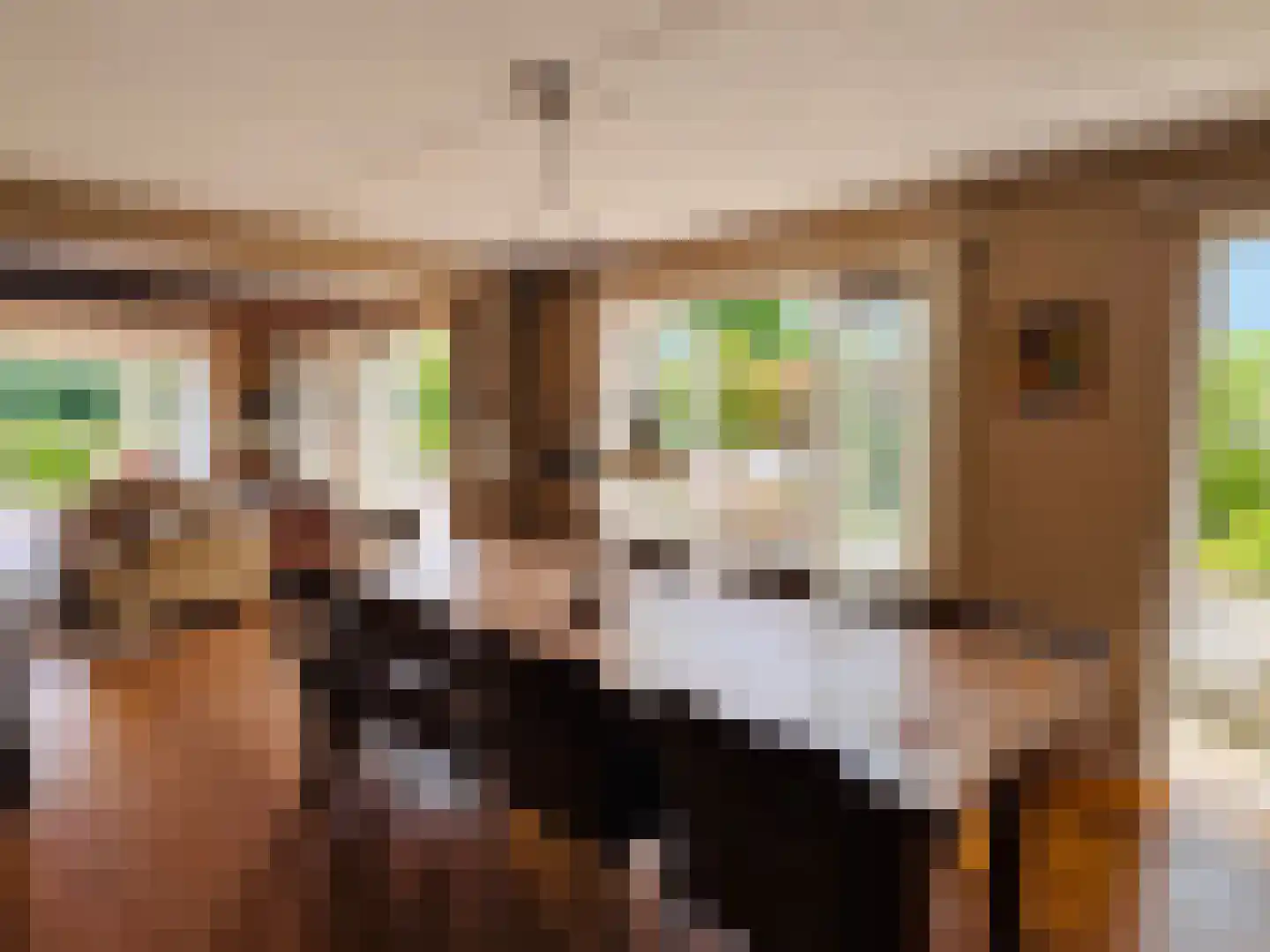 Kreijendijk 25 Maasbommel thumbnail 17