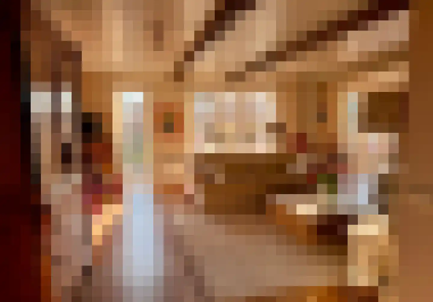 Kreijendijk 25 Maasbommel thumbnail 20