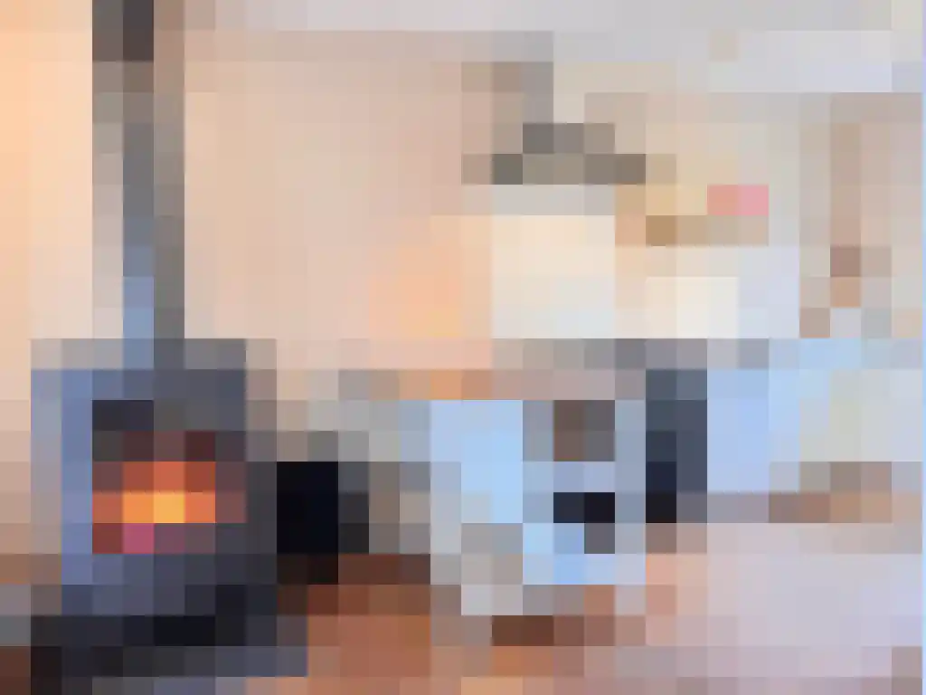 Kreijendijk 25 Maasbommel thumbnail 24