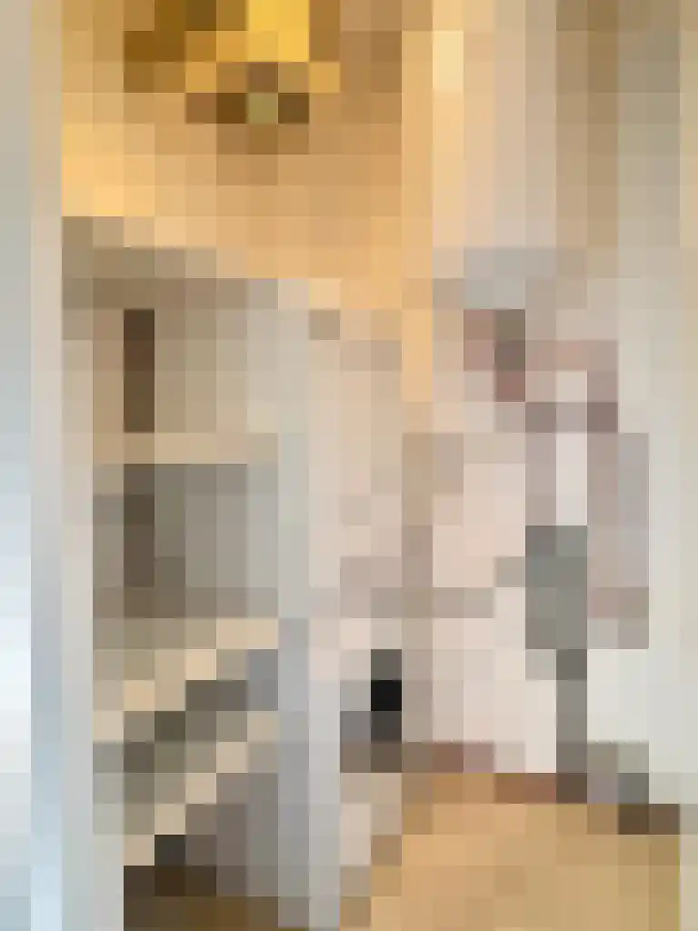 Kreijendijk 25 Maasbommel thumbnail 27