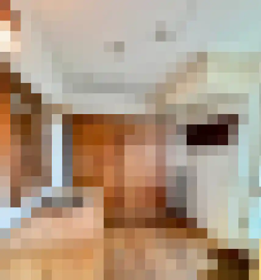Kreijendijk 25 Maasbommel thumbnail 28