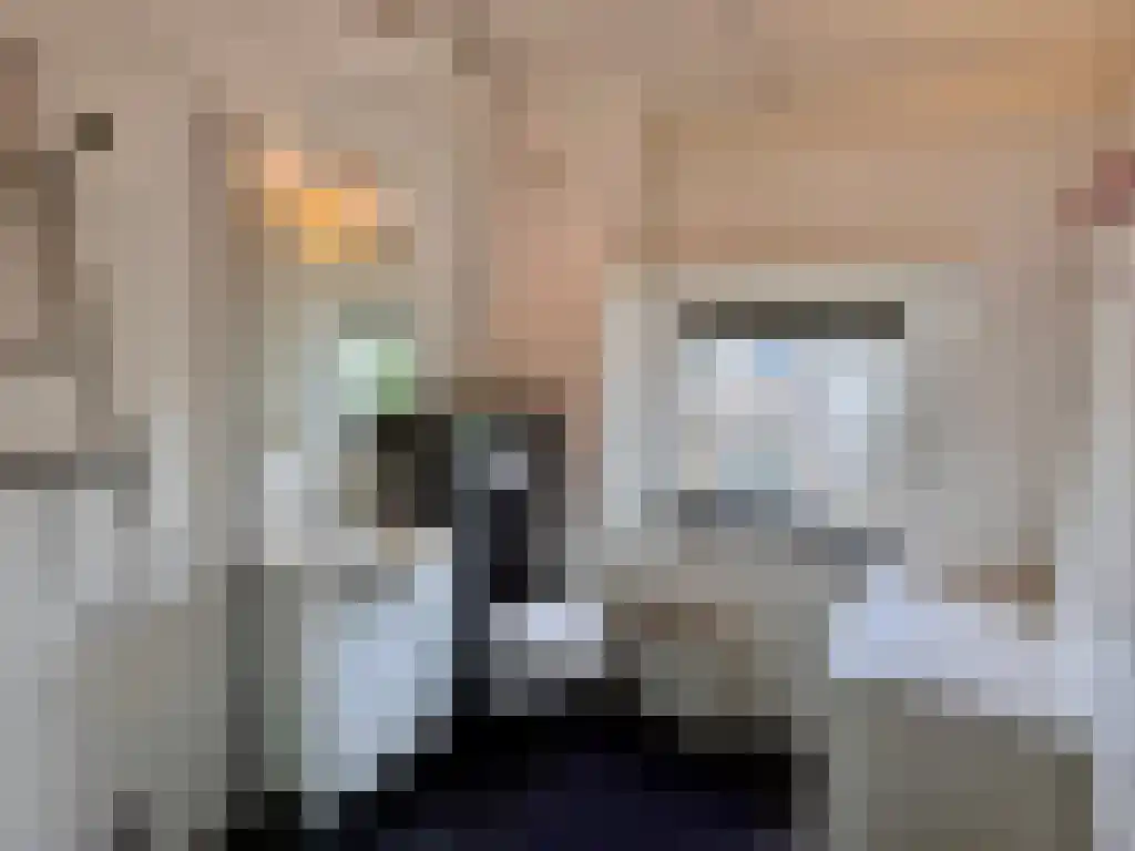 Kreijendijk 25 Maasbommel thumbnail 30