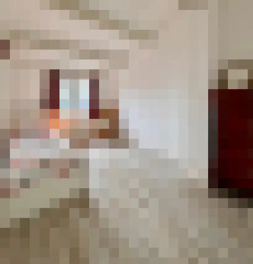 Kreijendijk 25 Maasbommel thumbnail 41