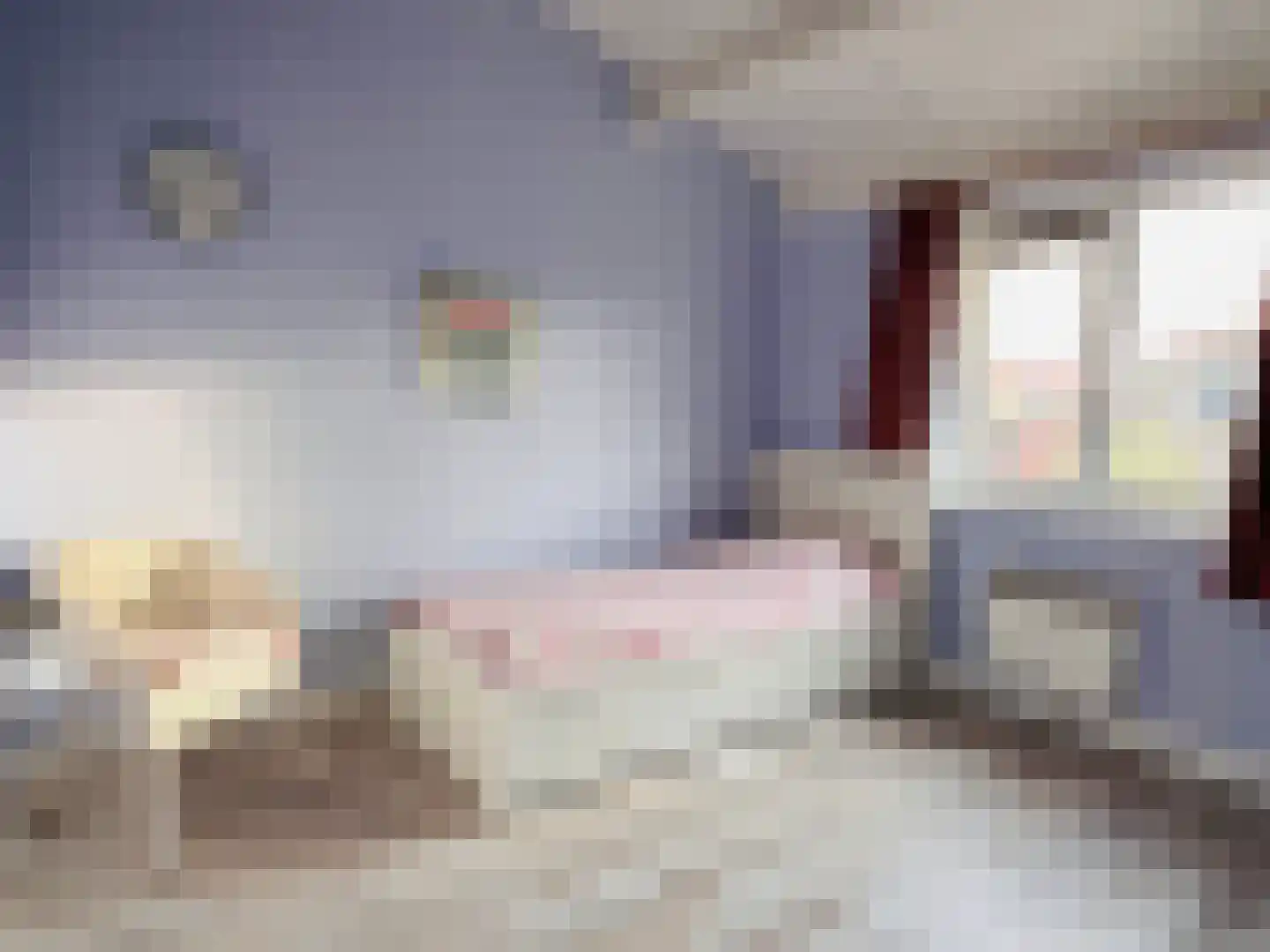 Kreijendijk 25 Maasbommel thumbnail 42
