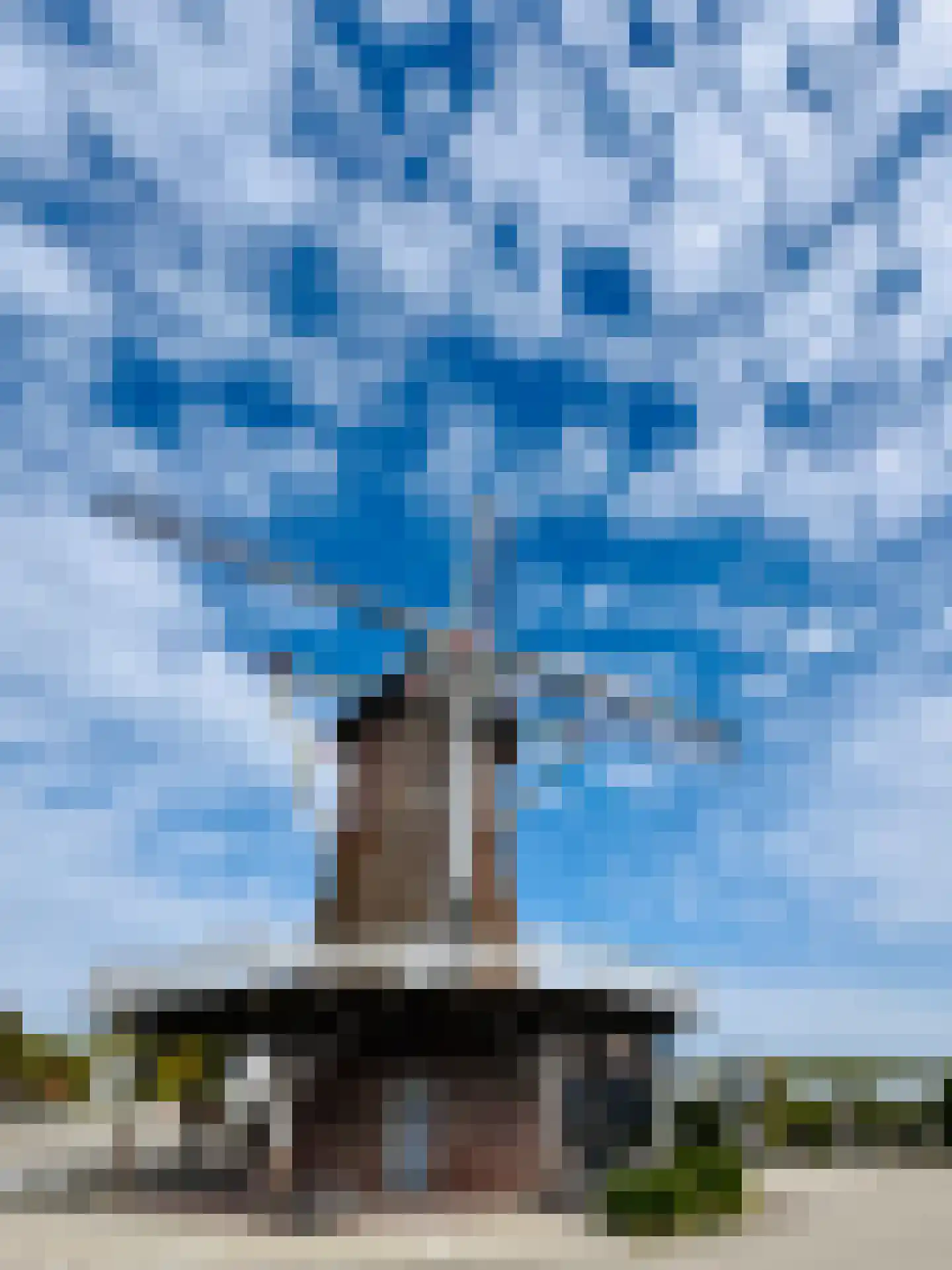 Kreijendijk 25 Maasbommel thumbnail 55