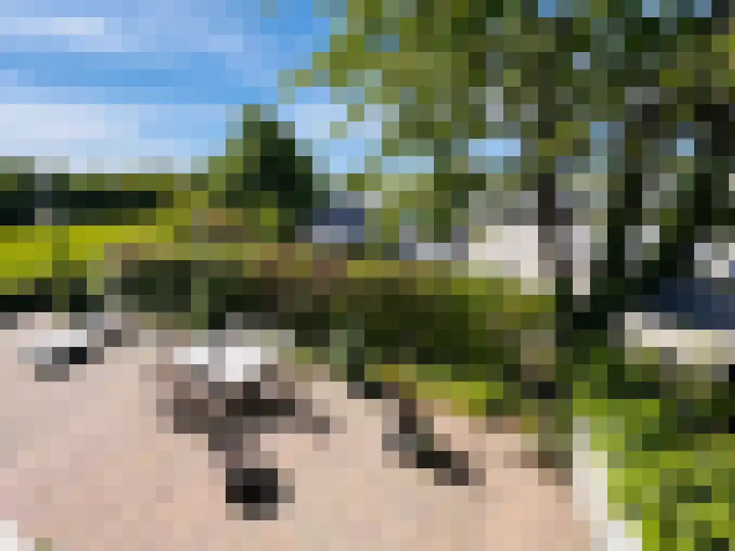 Kreijendijk 25 Maasbommel thumbnail 7