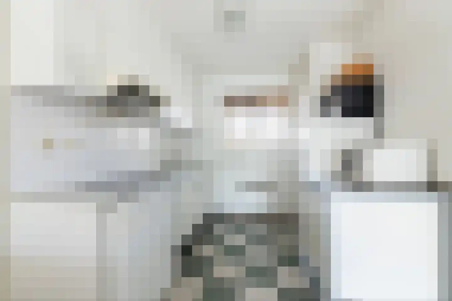 Kreijendijk 29 Maasbommel thumbnail 12