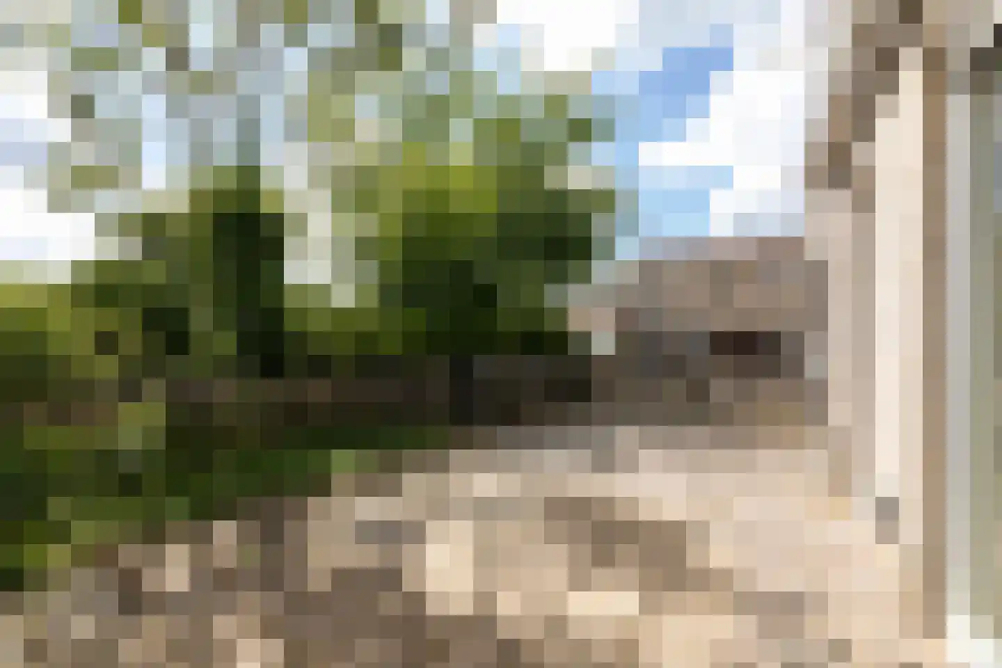 Kreijendijk 29 Maasbommel thumbnail 28