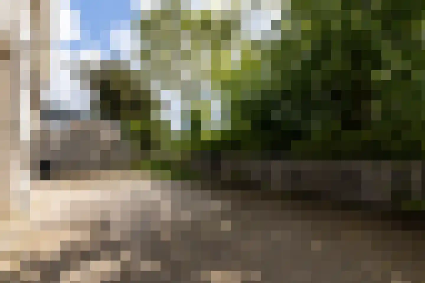 Kreijendijk 29 Maasbommel thumbnail 31