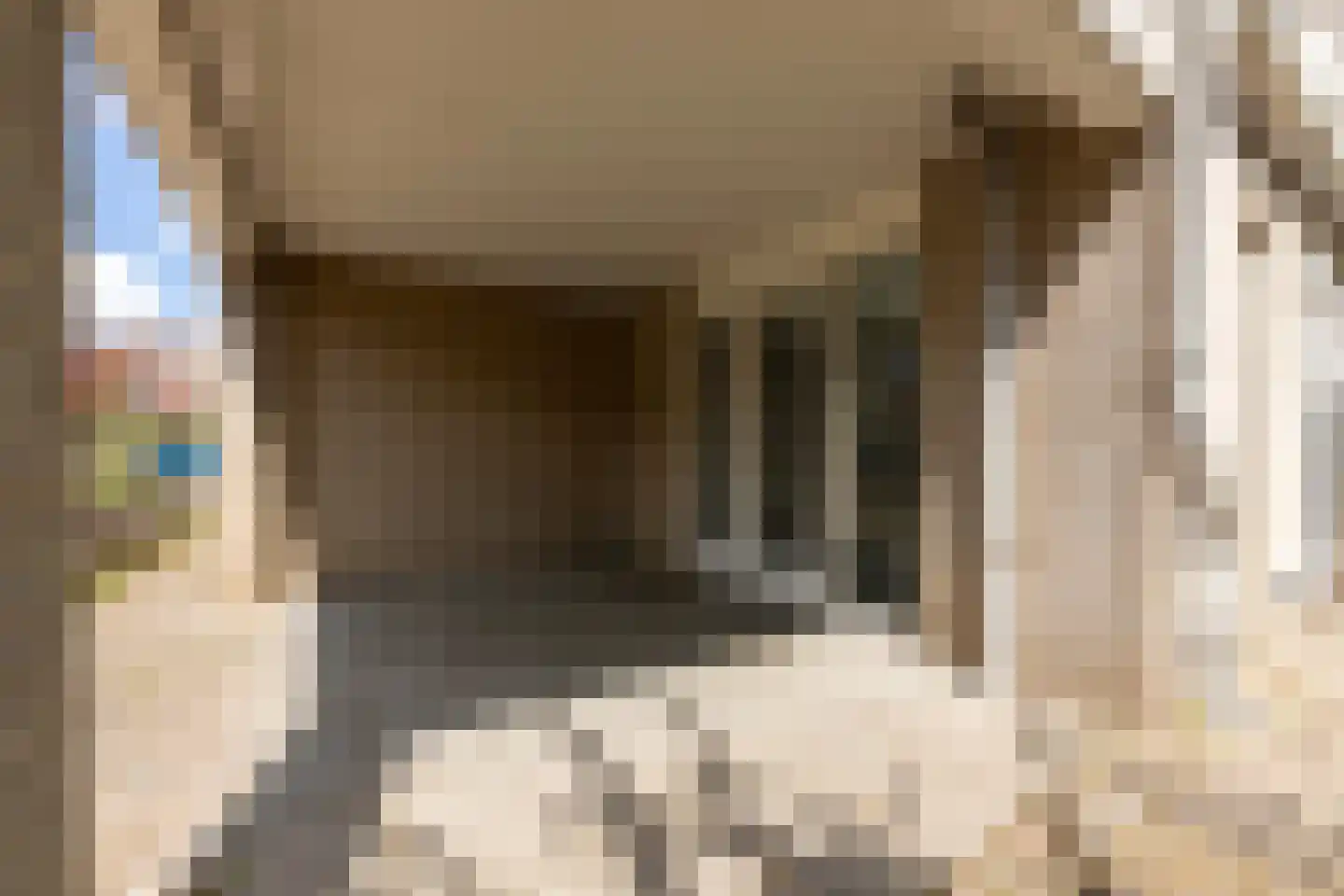 Kreijendijk 29 Maasbommel thumbnail 32
