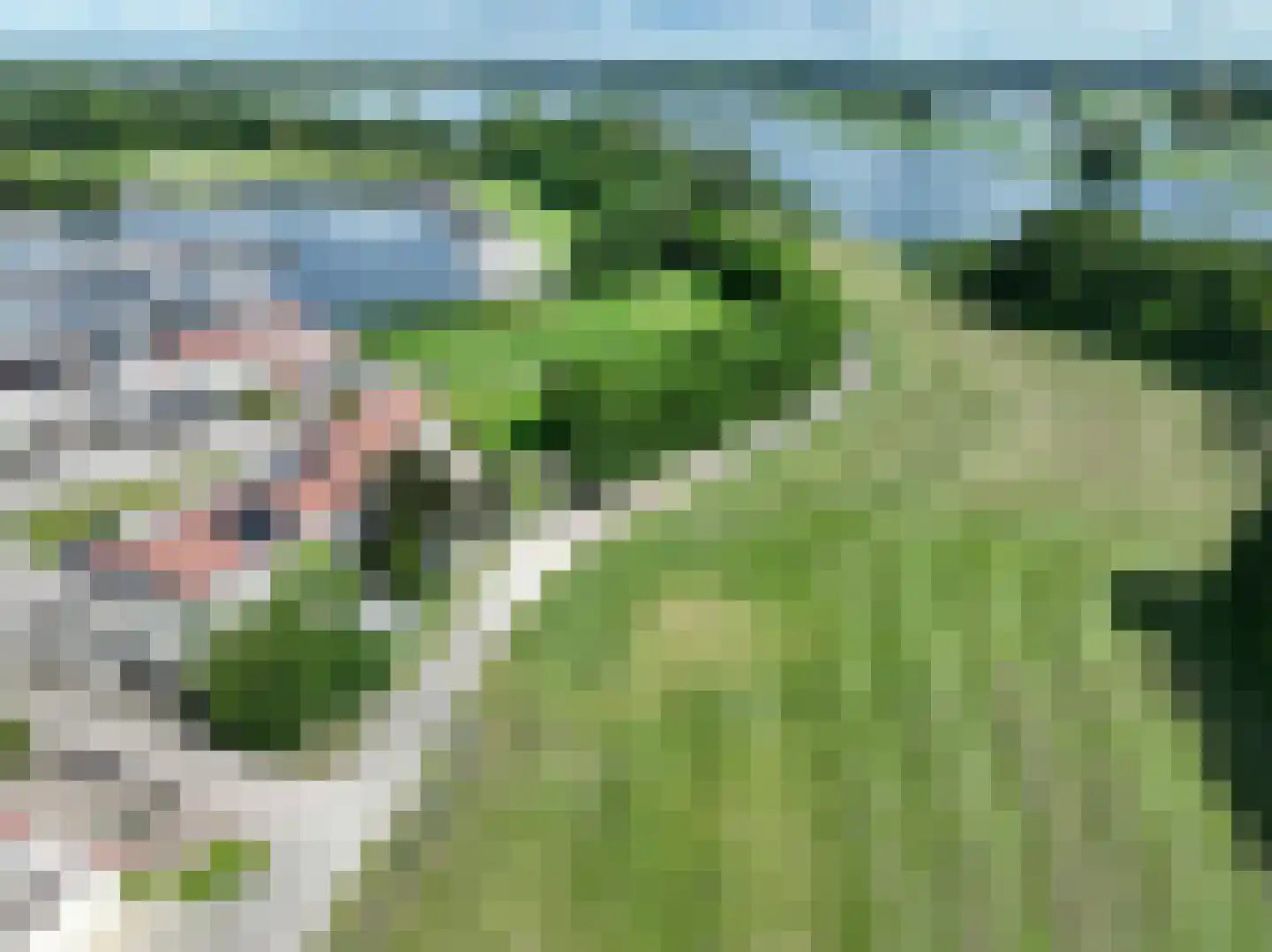 Kreijendijk 29 Maasbommel thumbnail 5