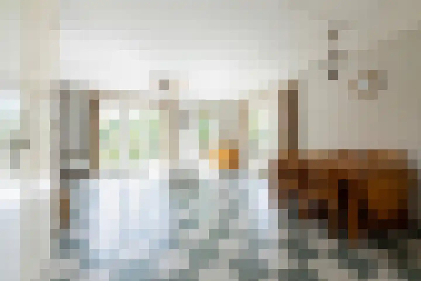 Kreijendijk 29 Maasbommel thumbnail 7