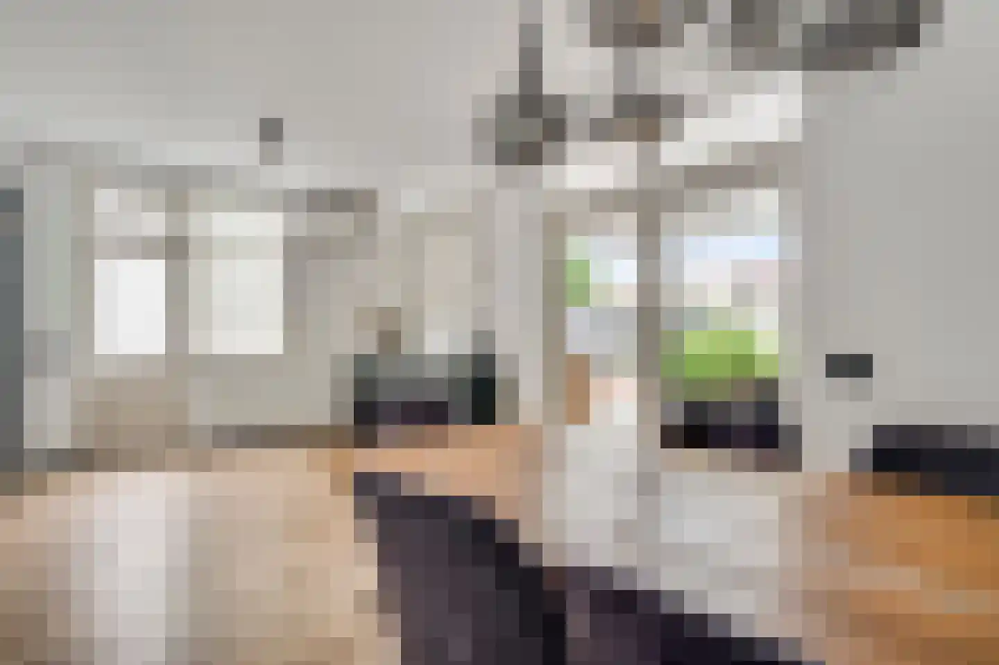 Kreijerstraat 16 Echt thumbnail 10