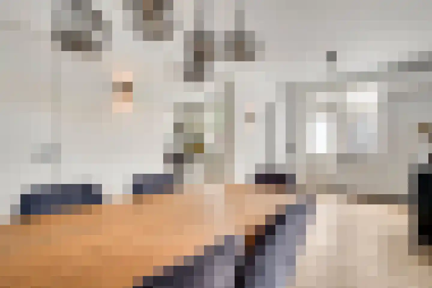 Kreijerstraat 16 Echt thumbnail 11