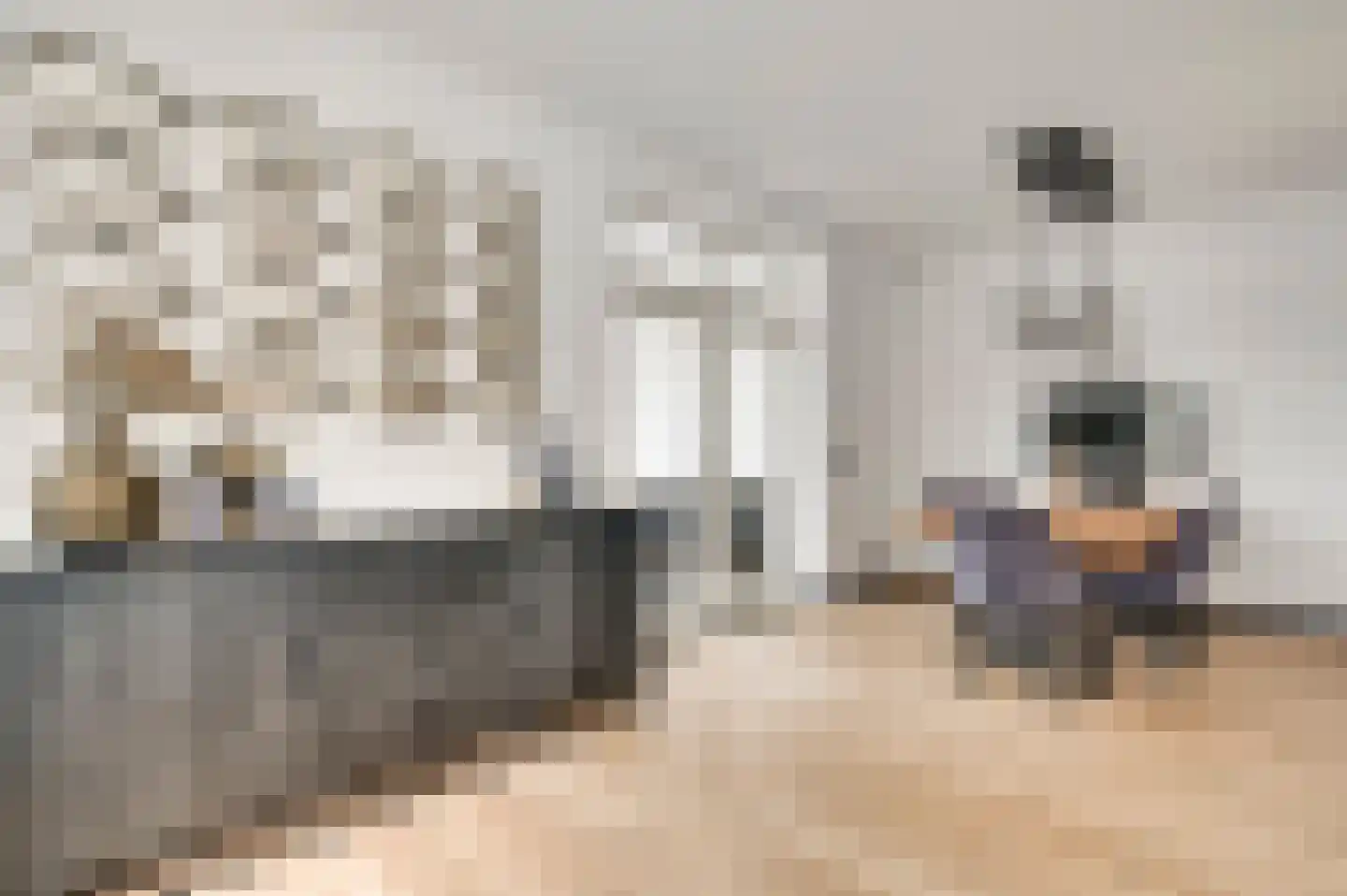 Kreijerstraat 16 Echt thumbnail 12