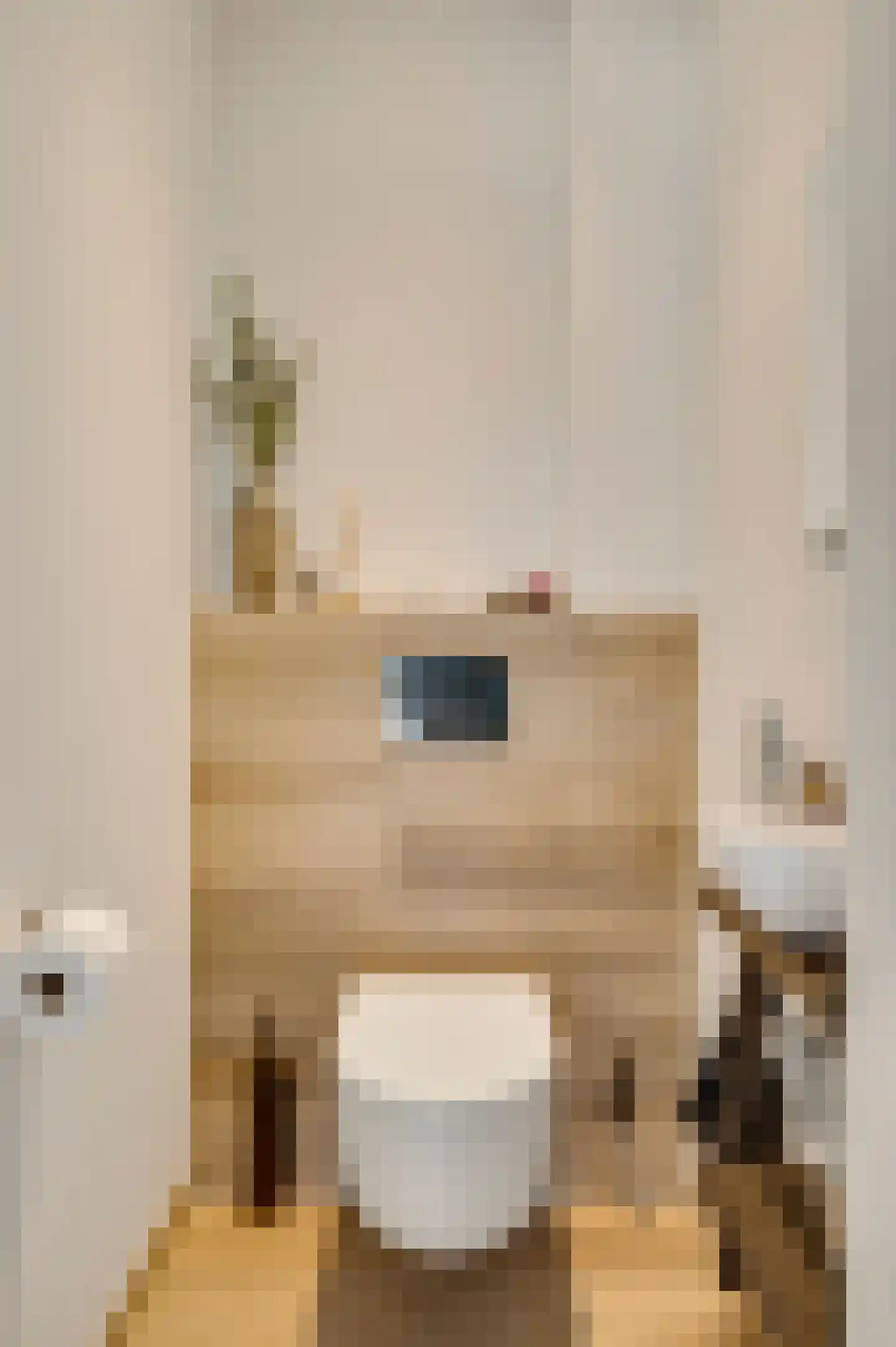 Kreijerstraat 16 Echt thumbnail 17
