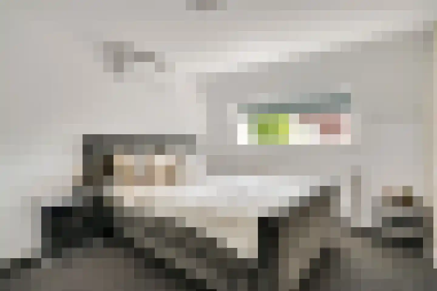 Kreijerstraat 16 Echt thumbnail 20