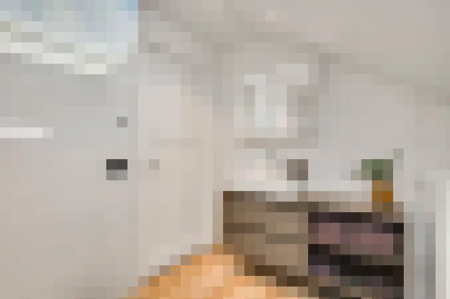 Kreijerstraat 16 Echt thumbnail 27