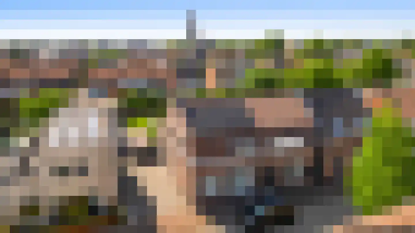 Kreijerstraat 16 Echt thumbnail 42