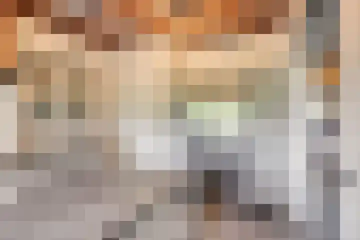 Kreijtenberg 3 Milheeze thumbnail 10