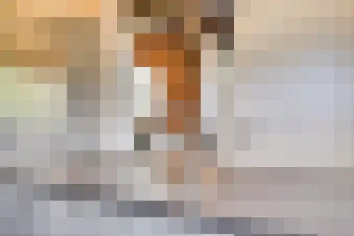 Kreijtenberg 3 Milheeze thumbnail 13