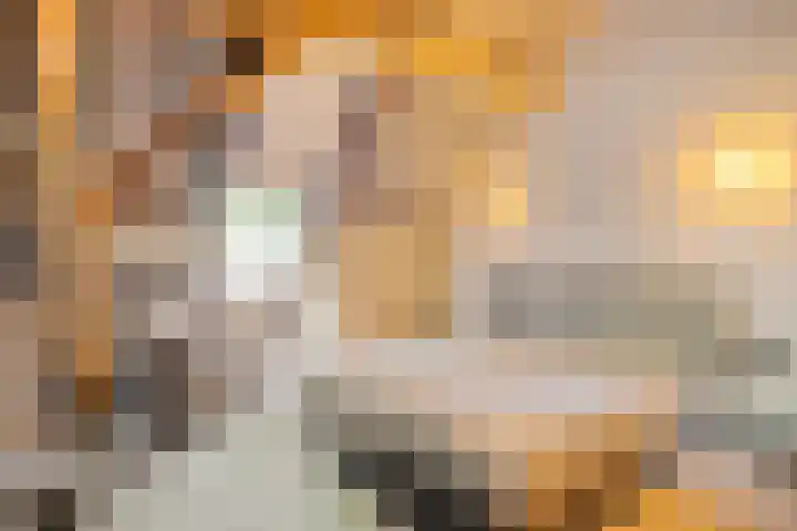 Kreijtenberg 3 Milheeze thumbnail 23