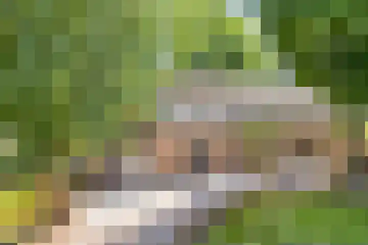 Kreijtenberg 3 Milheeze thumbnail 33