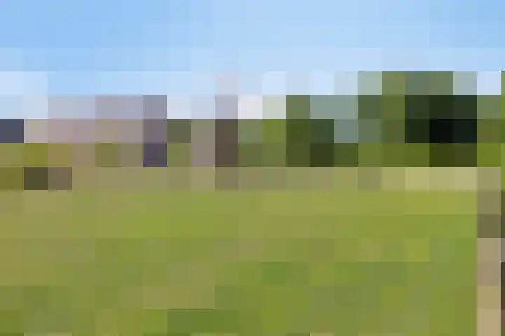 Kreijtenberg 3 Milheeze thumbnail 35