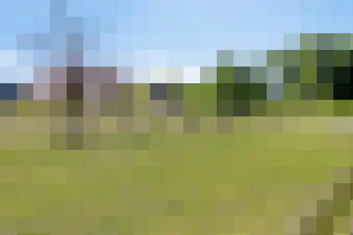 Kreijtenberg 3 Milheeze thumbnail 36