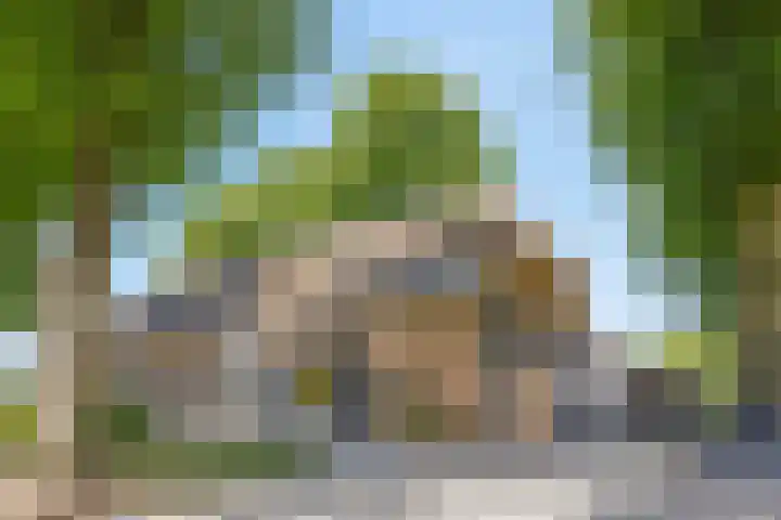 Kreijtenberg 3 Milheeze thumbnail 37