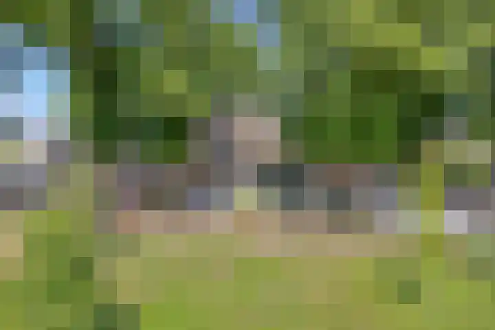 Kreijtenberg 3 Milheeze thumbnail 38