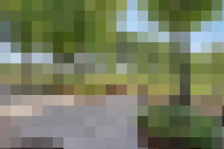 Kreijtenberg 3 Milheeze thumbnail 39