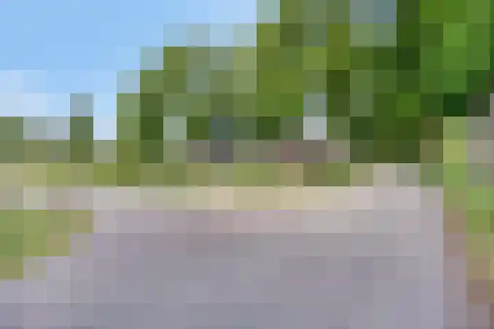 Kreijtenberg 3 Milheeze thumbnail 40