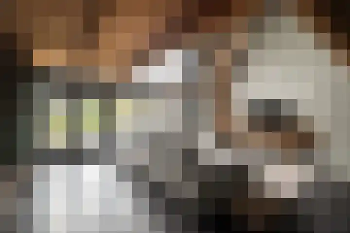 Kreil 30 a Barsingerhorn thumbnail 11