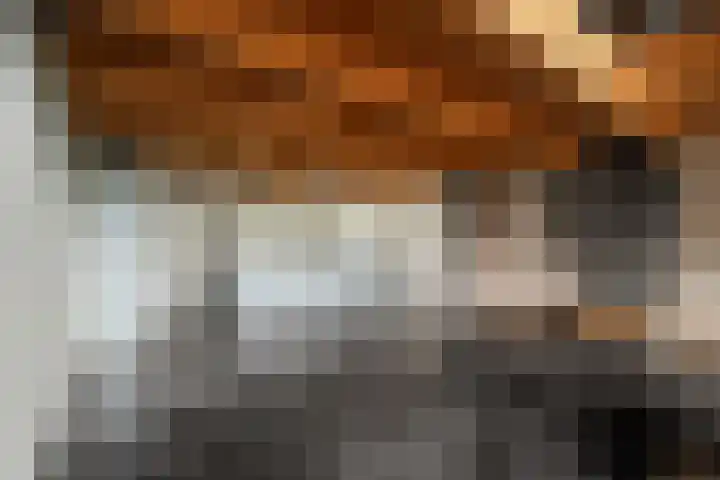 Kreil 30 a Barsingerhorn thumbnail 12