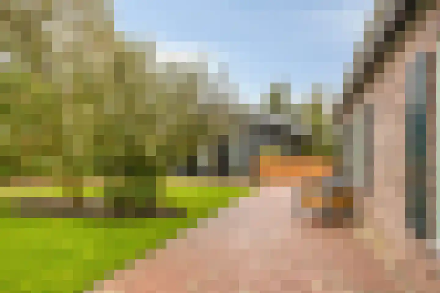 Kreil 30 a Barsingerhorn thumbnail 16