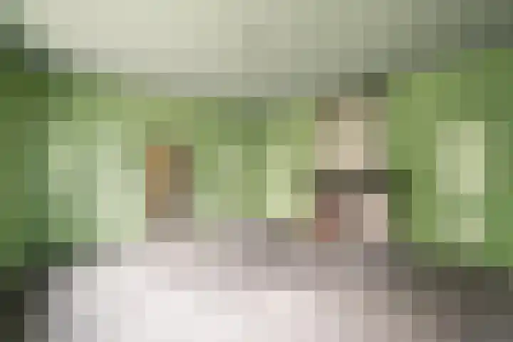 Kreil 30 a Barsingerhorn thumbnail 18