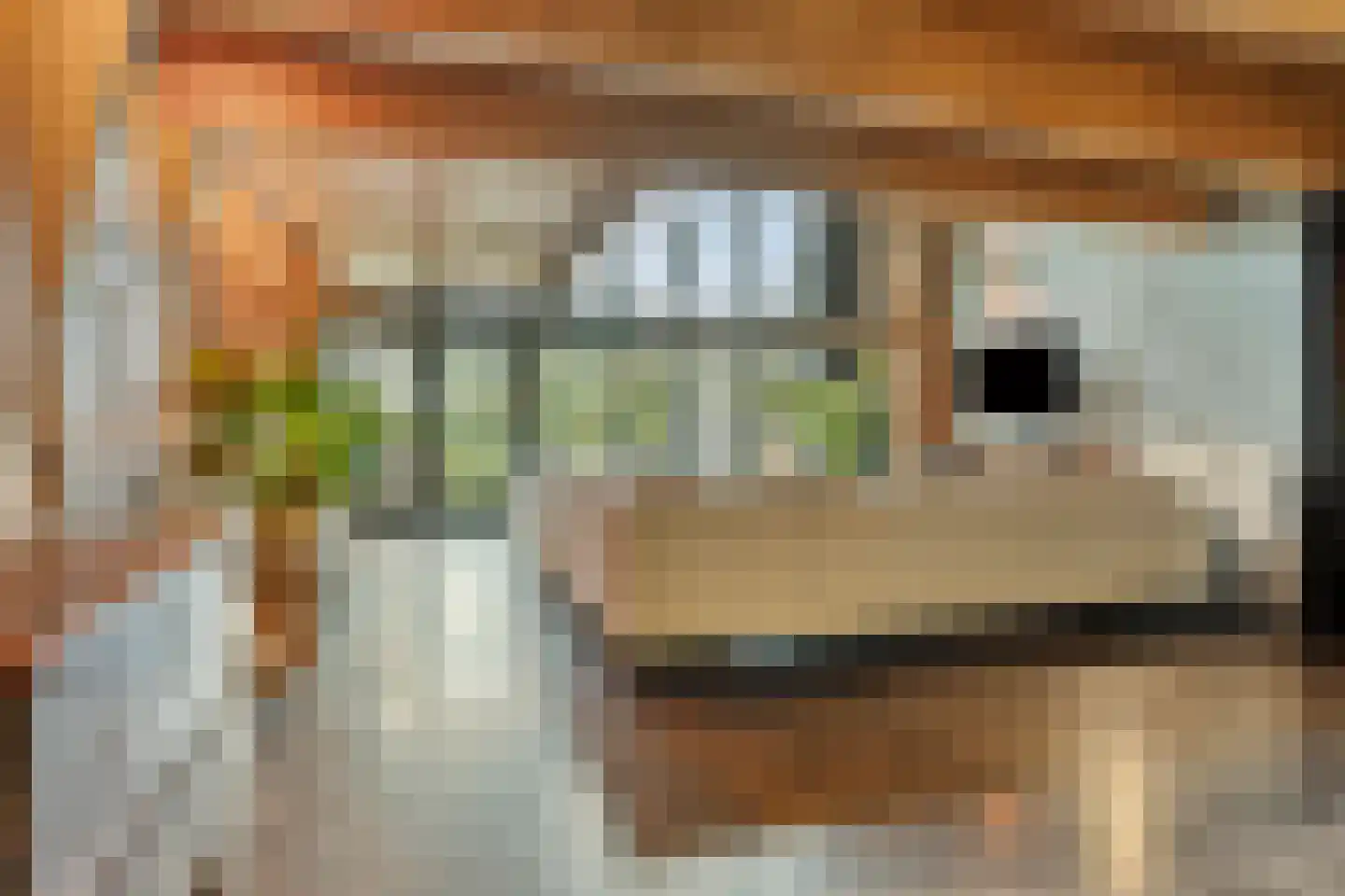 Kreil 30 a Barsingerhorn thumbnail 31