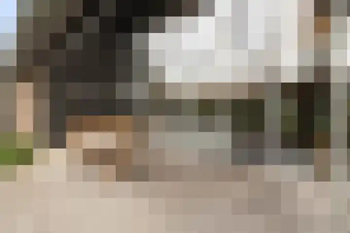 Kreil 30 a Barsingerhorn thumbnail 35