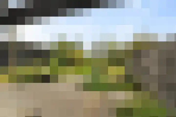Kreil 30 a Barsingerhorn thumbnail 36