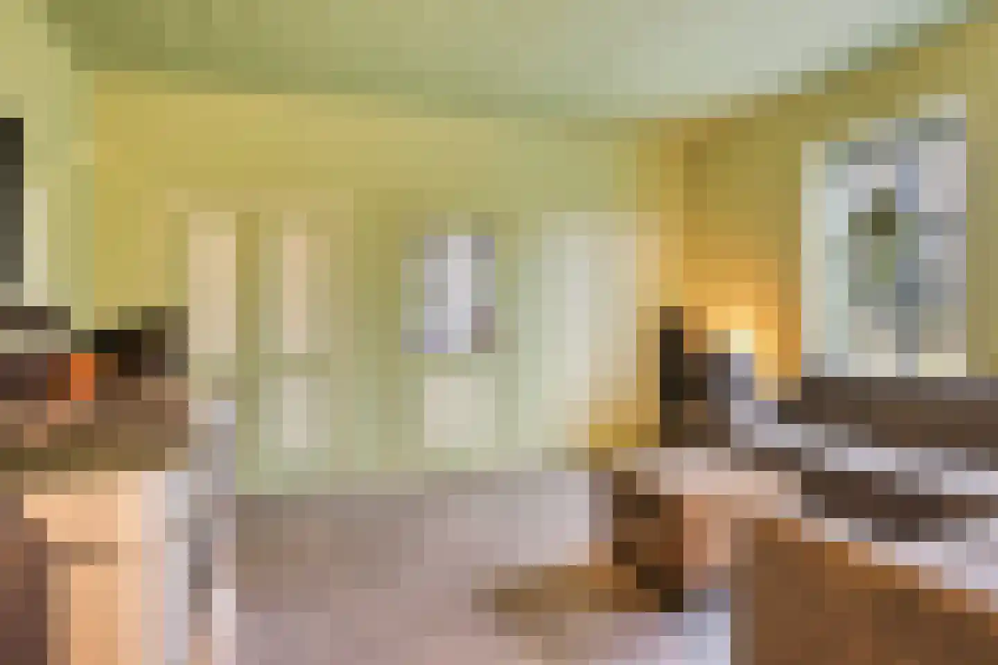 Kreil 30 a Barsingerhorn thumbnail 43