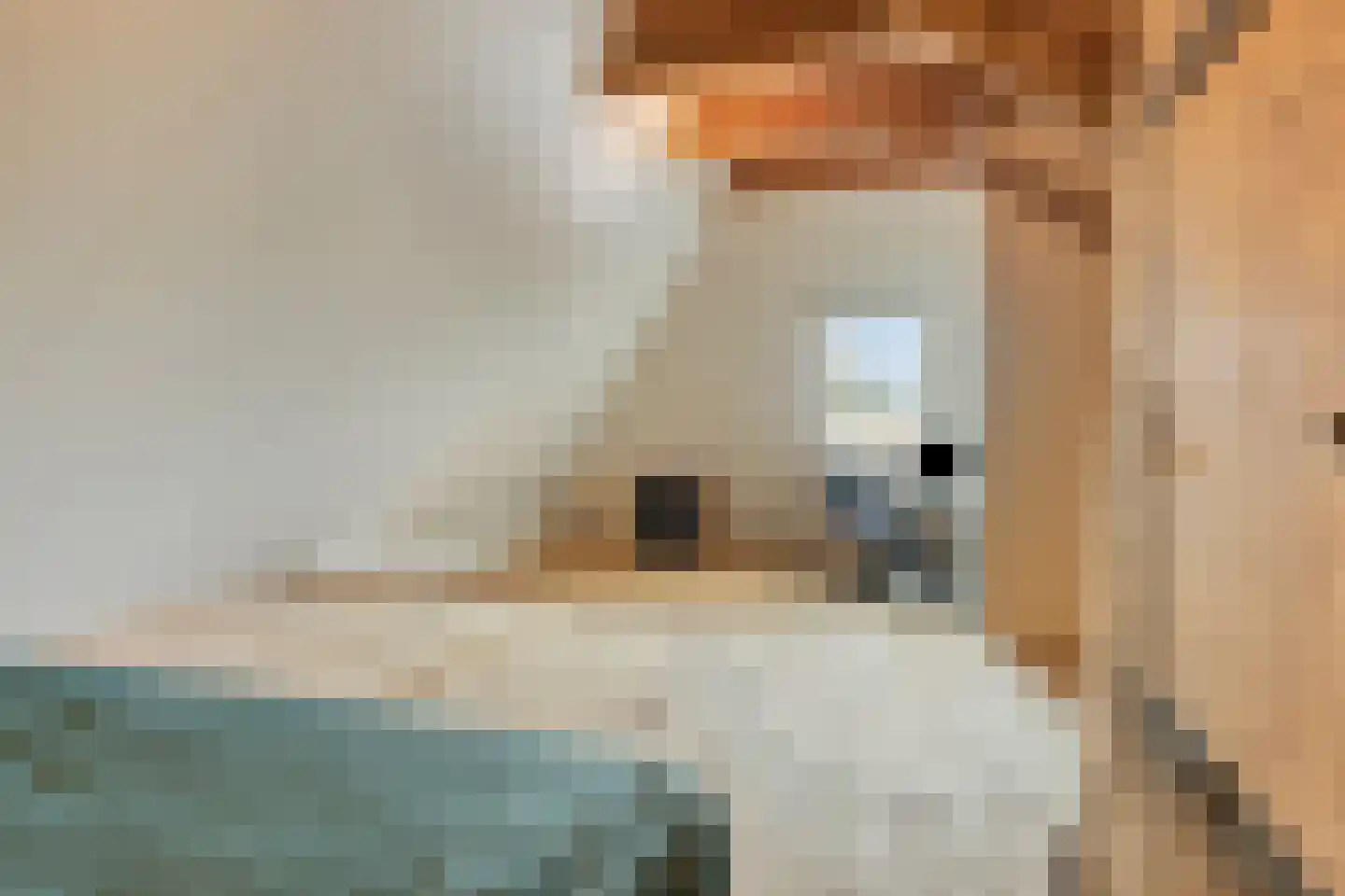 Kreil 30 a Barsingerhorn thumbnail 49