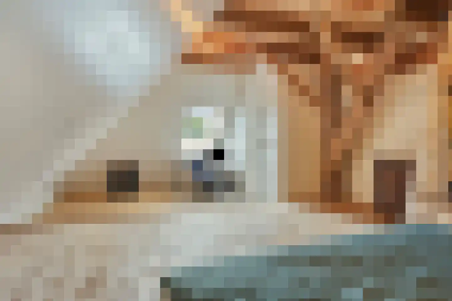 Kreil 30 a Barsingerhorn thumbnail 52