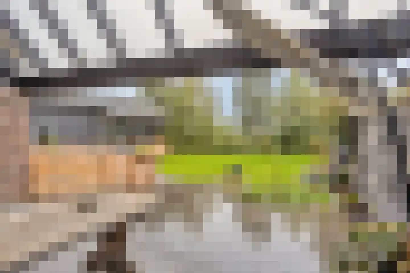Kreil 30 a Barsingerhorn thumbnail 62