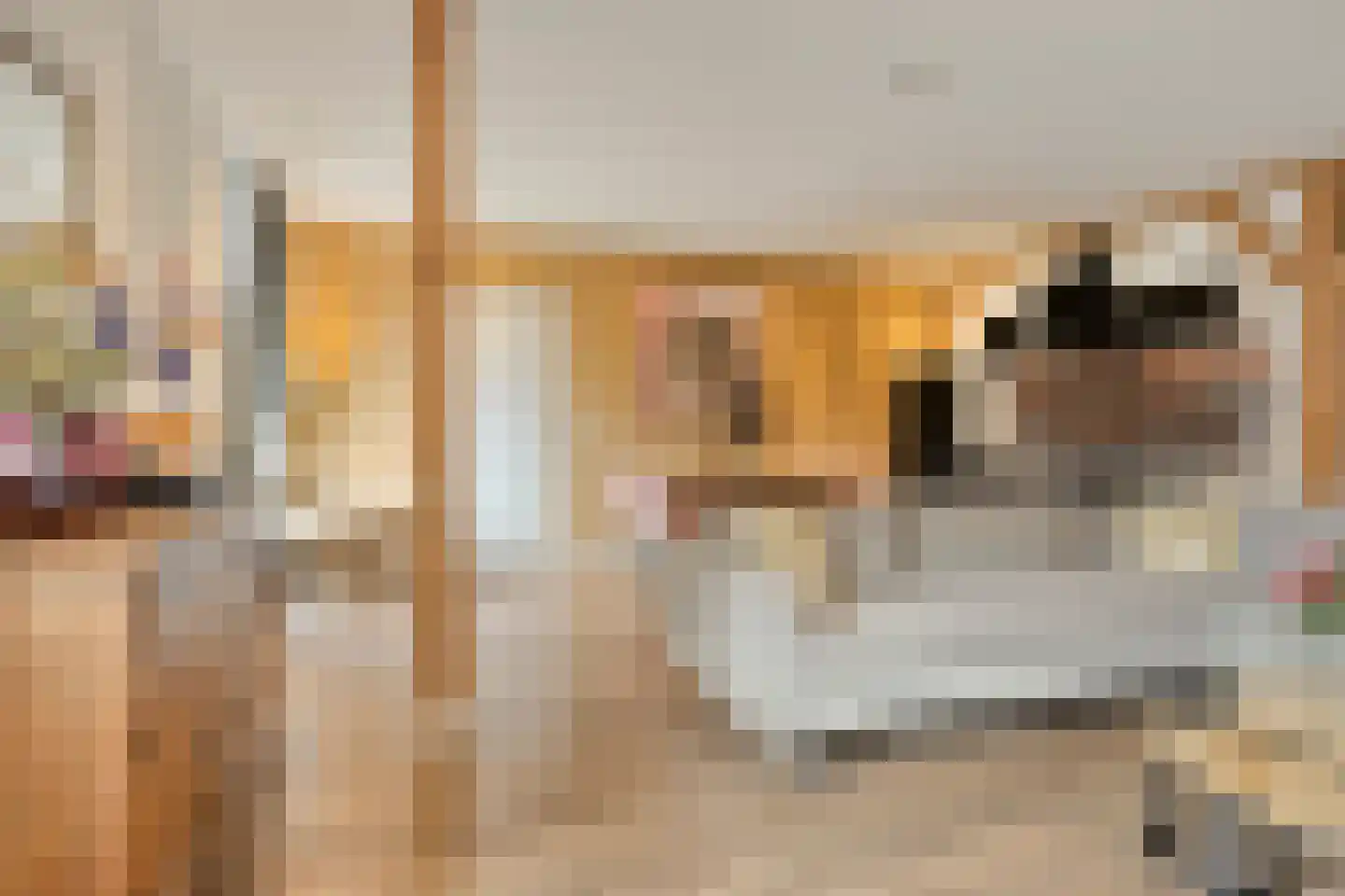 Kreil 30 a Barsingerhorn thumbnail 70