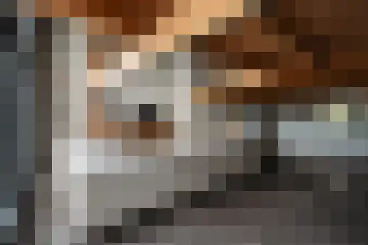Kreil 30 a Barsingerhorn thumbnail 8