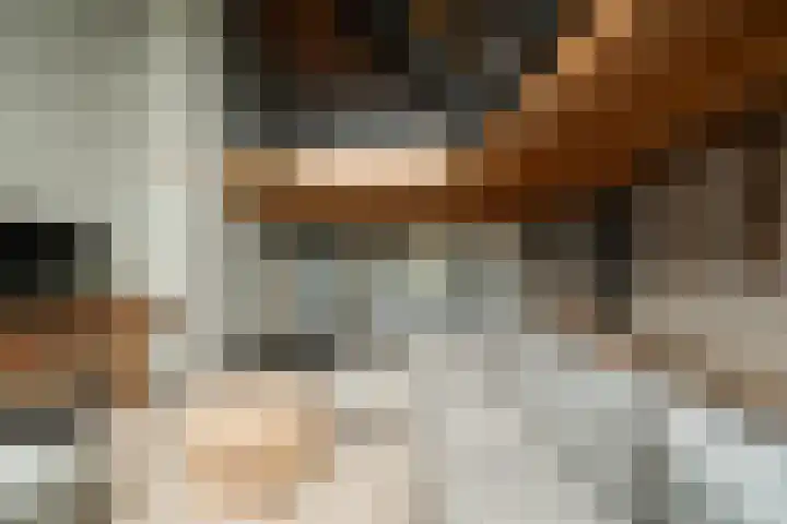 Kreil 30 a Barsingerhorn thumbnail 9