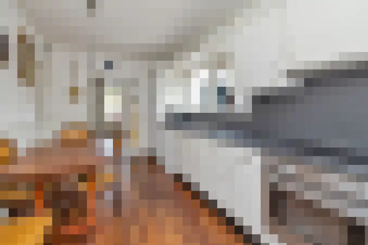 Kreil 4 Barsingerhorn thumbnail 12